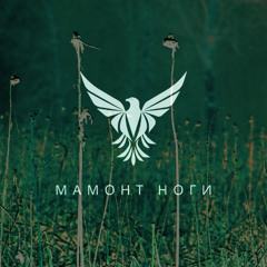 граница [border]