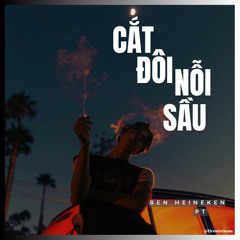 TĂNG DUY TÂN - CẮT ĐÔI NỖI SÀU | Ben Heineken x PT Remix