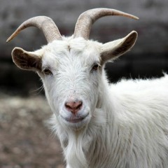 Boss Moves (Prod by xxDanyRose)