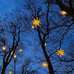 STOMACH BOOK - FUKOUNA GIRL (another best part i think)