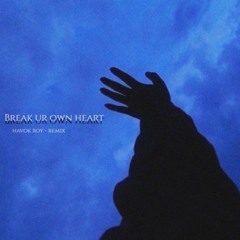 Break Your Own Heart (HavokBoy Remix)