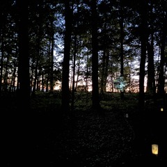 Borderlands by Treewild - Opening Scene