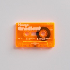 Nuage - Predicted