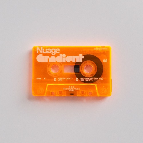 Nuage - Predicted