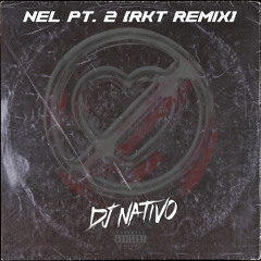 NEL Pt. 2 (DJ Nativo RKT Remix)