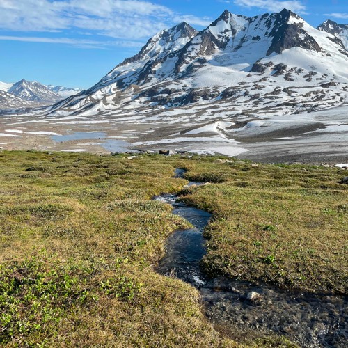 A Sparrow is a Brook is a Glacier