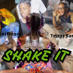 TrizzyBands ft. jerMAINstream - Shake It