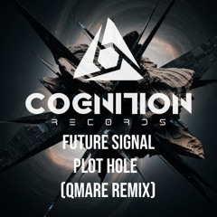 Plot Hole ( QMARE Remix )