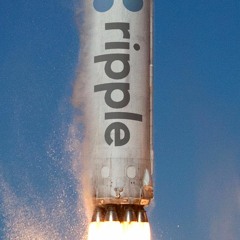 XRP Bags- RippleNet Memos (Kush Klein Remix)