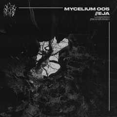 M005 // EJA