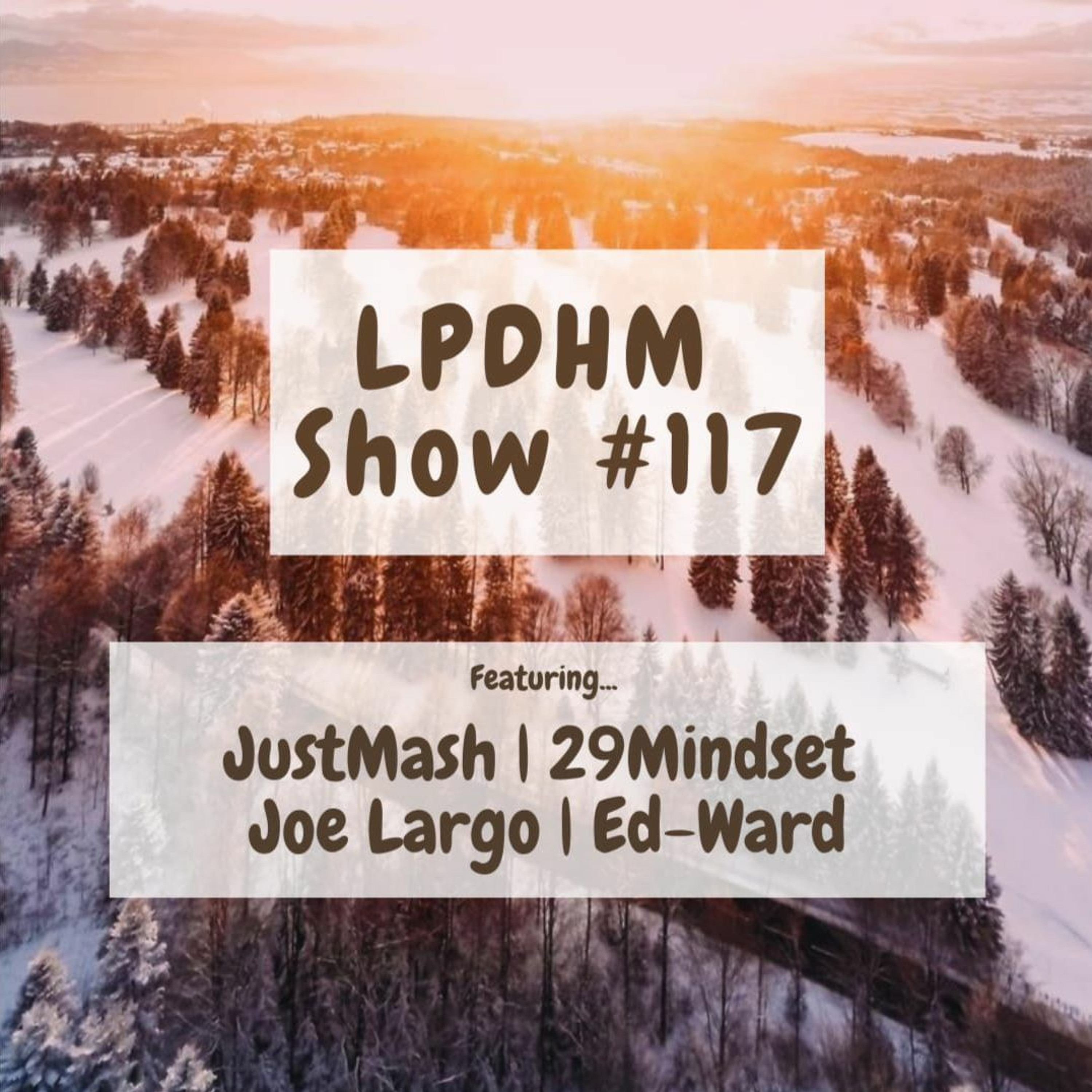 LPDHM #117 guest mix by 29Mindset // B