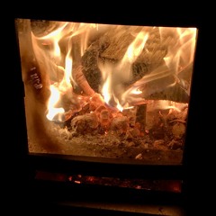 Cougarspanieli on Fire