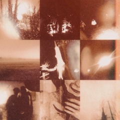 LifLonRec - E_veafevr