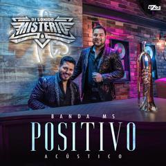 Banda MS Acusticomix 2021