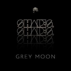 Shapes. Guest Mix 040 // Grey Moon