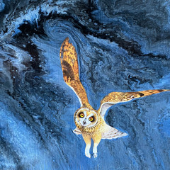 Televators (voice memo)(Mars Volta Cover)