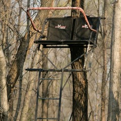 Treestand Safety and the Start of Fall