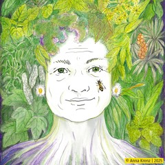 3. Station - Kraft und Weisheit der Natur