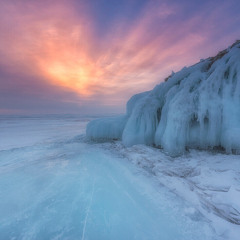 FROID