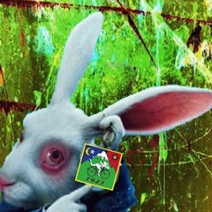Sandy White  -  Follow the White Rabbit