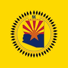 Welcome To Arizona (Radio Edit) - NK