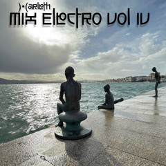 Mix Electro vol IV - )•(arleth