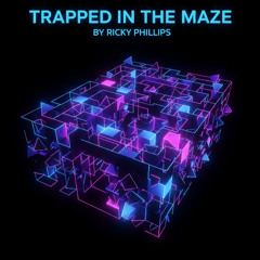 Trapped In a Maze