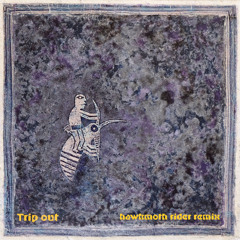 Trip Out (Hawkmoth Rider Remix)