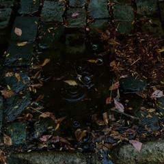 Cicatrices Del Alma (Demo)