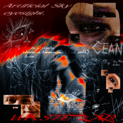 wasteland w／eyesight.