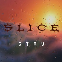 Stay (SLICE Remix)