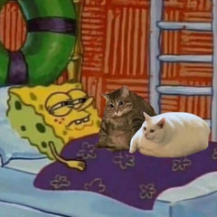 blue eyes/golova v musore