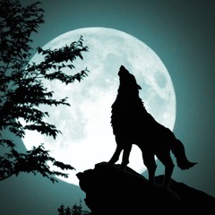 Wolf Howling at the Moon