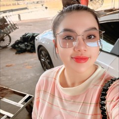 NST VIỆT MIX - MƯA TUYỆT VỌNG - THI ELLY