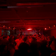 Domek live @ Baleinev Festival Switzerland