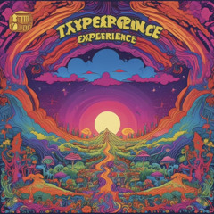 The Experience- Hey Jo