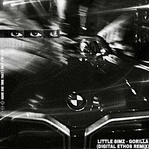Little Simz - Gorilla (DIGITAL ETHOS REMIX)