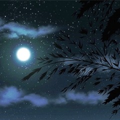 NOCTURNAL (PROD. KINGSEDULOUS)