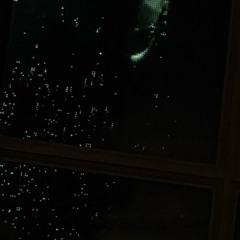 Crows sitting on streetlights say goodbye in the dark