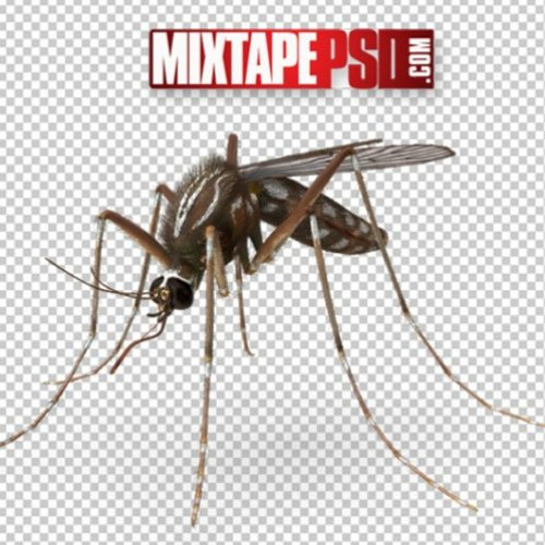 Percy J - Secret Mosquitoes Rave