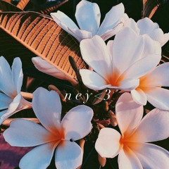 𝒮 𝒜 𝒦 𝒜 𝒮 𝒜 𝒦 𝒜 𝒰 🍃