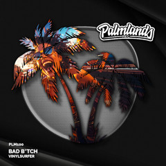 Vinylsurfer - Bad B*tch (Streaming Edit) [Palmlands Records]