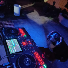 Money for  the Dogg
