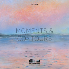 TWAS 013 Moments and Contours - montage