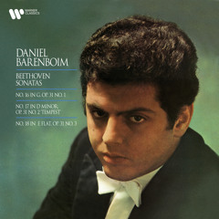 Beethoven: Piano Sonata No. 17 in D Minor, Op. 31 No. 2 "The Tempest": III. Allegretto