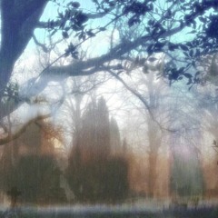 dreaming
