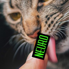 Neuro Šmakuláda