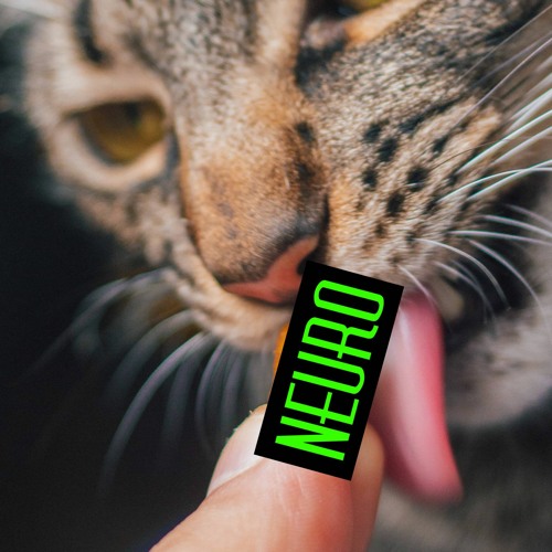 Neuro Šmakuláda