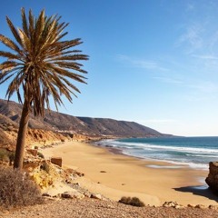 AFTER PARTY CASABLANCA RMX /w noredienne