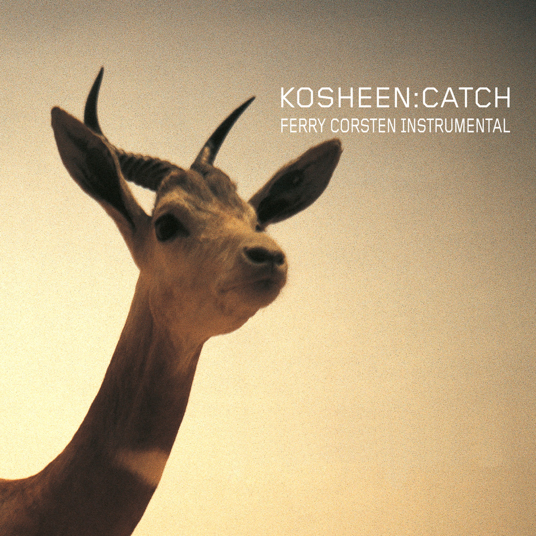 Listen to Catch (Ferry Corsten 2025 Instr Long Edit) by Kosheen in